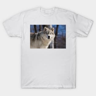 Arctic Wolf T-Shirt